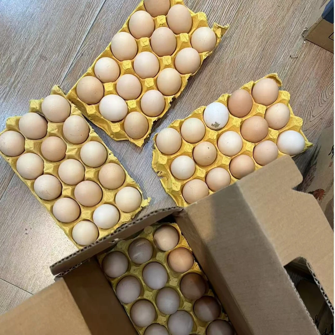 新鲜柴鸡蛋60枚/箱