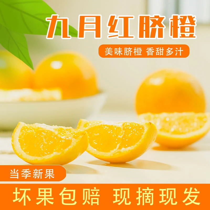 原产地当天采摘 湖北宜昌秭归天然现摘新鲜细腻皮薄脆嫩大果