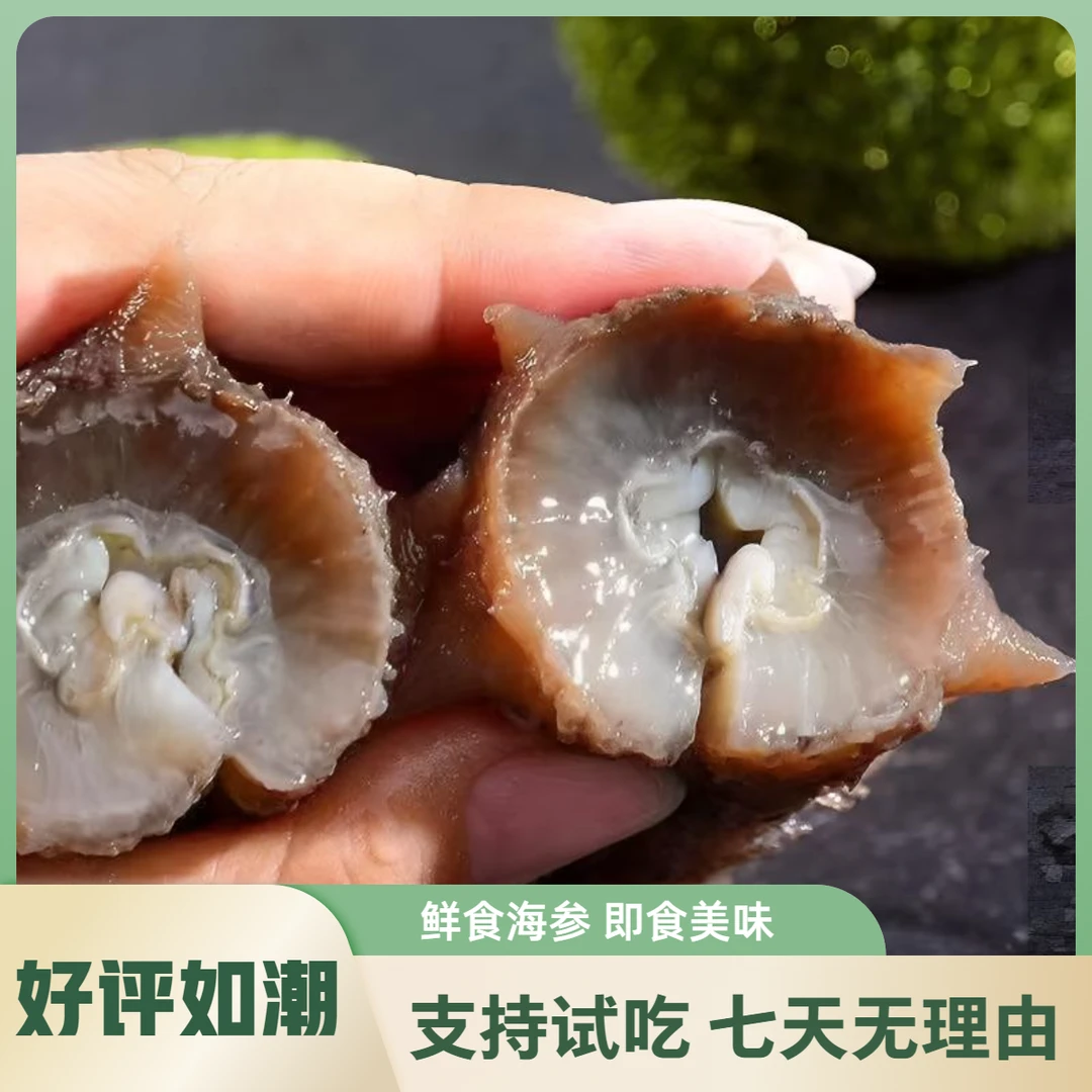 双十一大促【12-14头】鲜食级即食海参-不水发-不挂冰