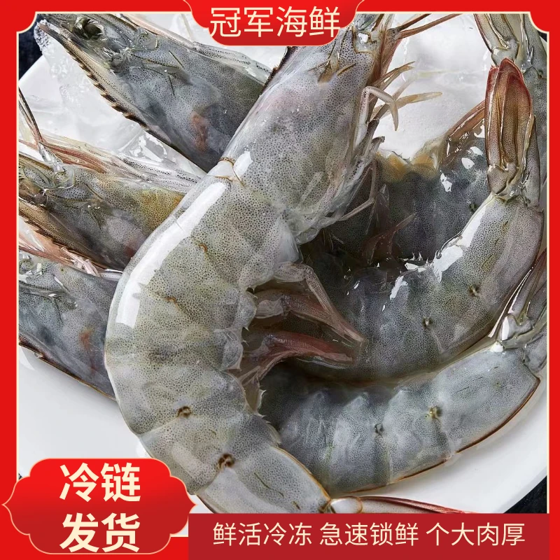 2030盐冻虾新鲜大虾冷冻海水白虾虾肉锁鲜顺丰冷链