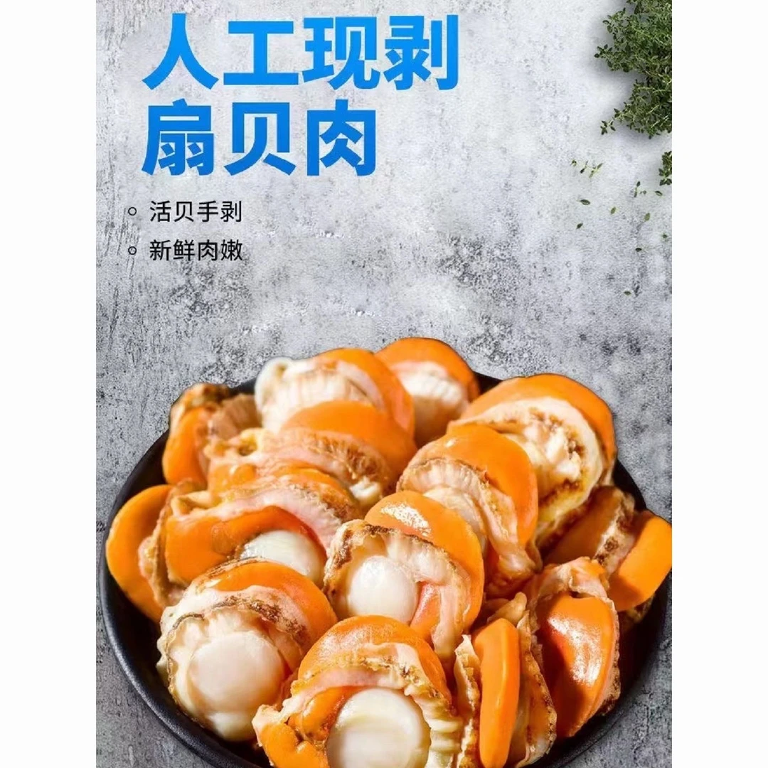大个扇贝肉包鲜,带黄带膏 3分钟一盘菜3斤
