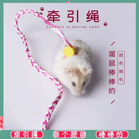 仓鼠牵引绳溜鼠绳松鼠溜兔绳兔子豚鼠刺猬荷兰猪魔王松鼠牵引绳