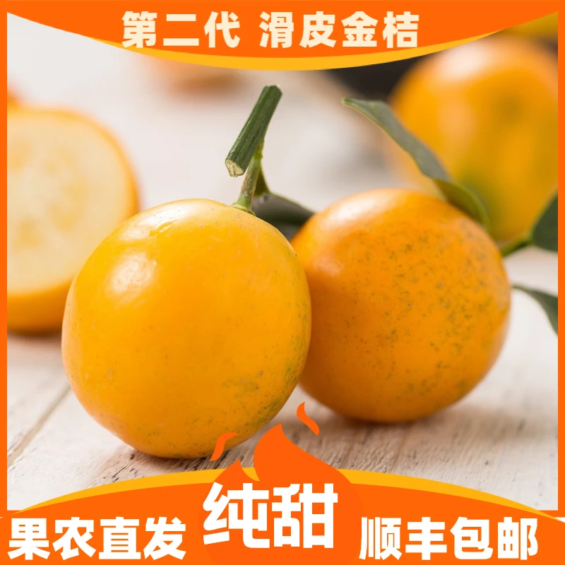 「第二代」广西融安滑皮金桔纯甜不酸脆爽正宗橘子新鲜水果现摘现发