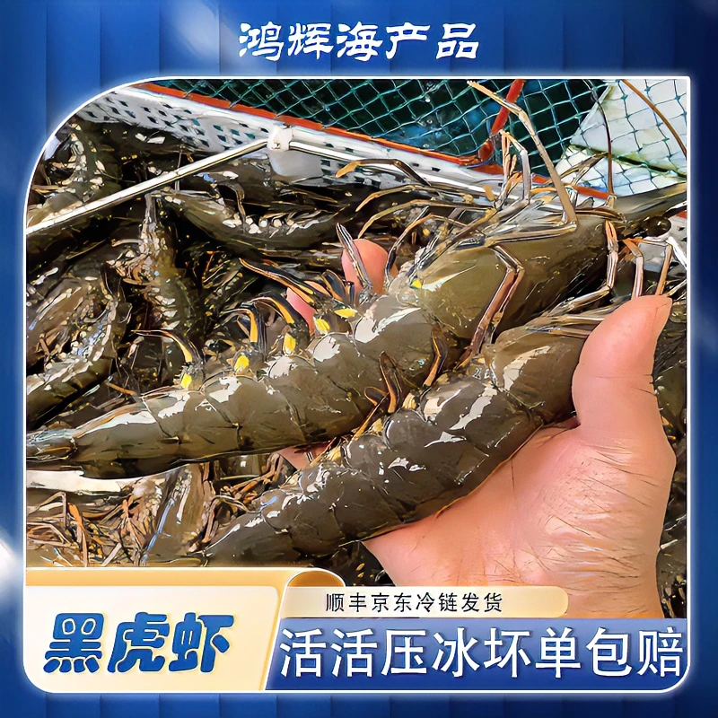 广东汕尾本港海鲜鲜甜（九节虾）