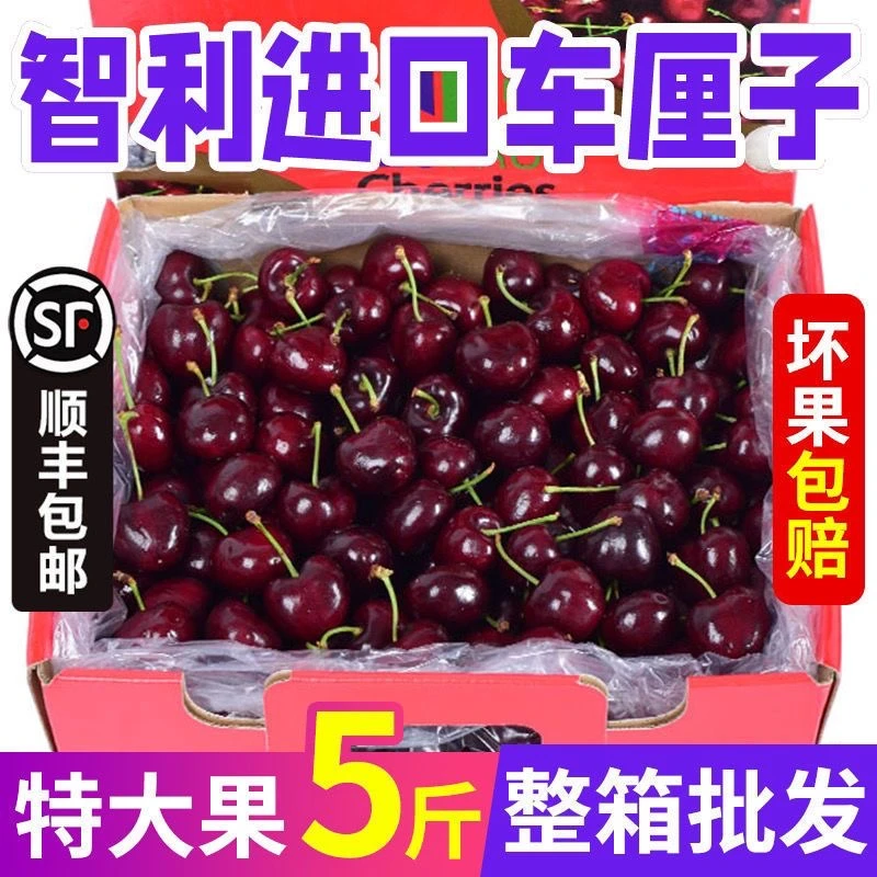 现货智利车厘子新鲜水果应季进口大樱桃3J大果孕妇整箱顺丰包邮