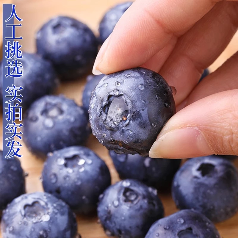 【福利4盒】蓝莓新鲜水果当季蓝梅鲜果高山甜莓孕妇大果整箱包邮