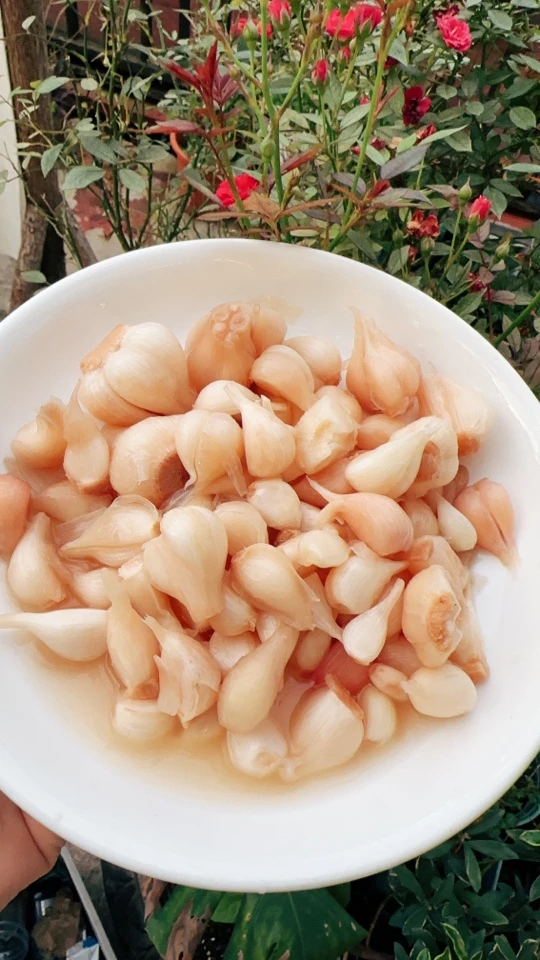 糖蒜正宗糖醋蒜蒜头腌制糖醋大蒜头甜蒜泡蒜大蒜腊八蒜咸菜下饭菜