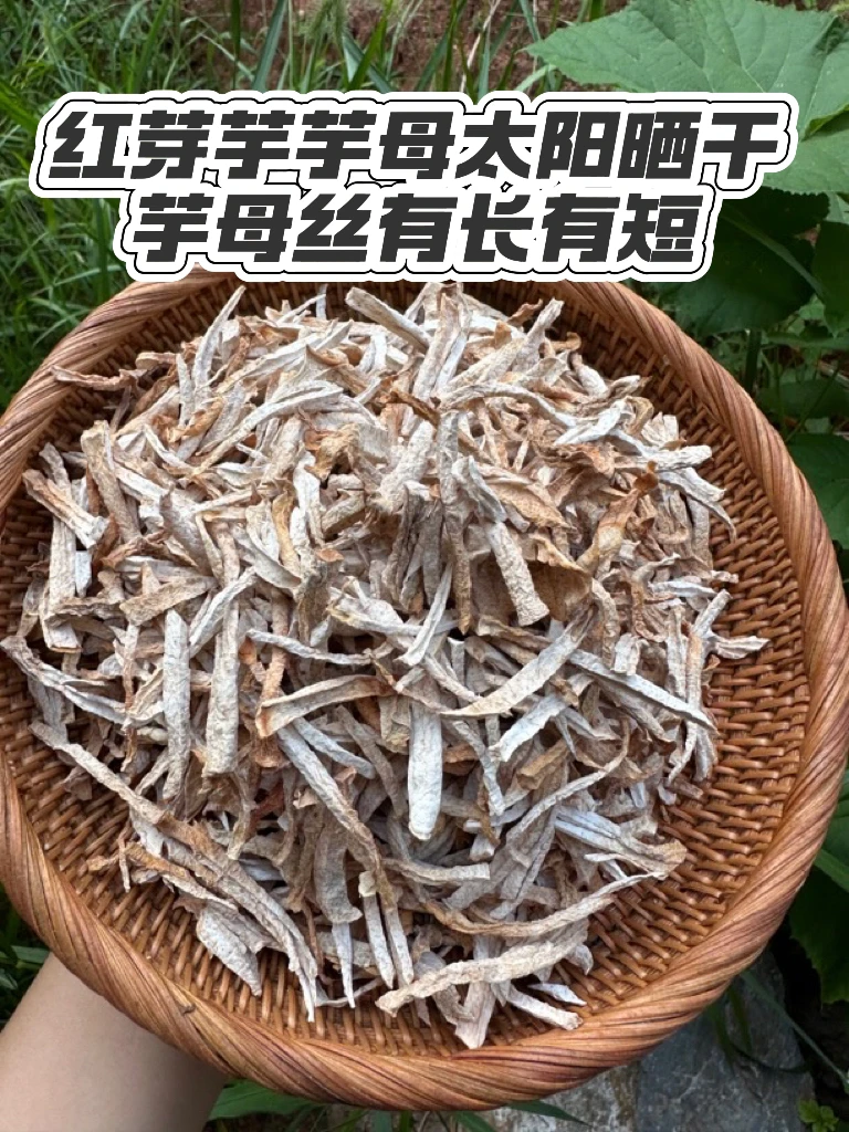 正宗江西红芽芋母丝当季先挖新鲜芋头农家自做芋母丝