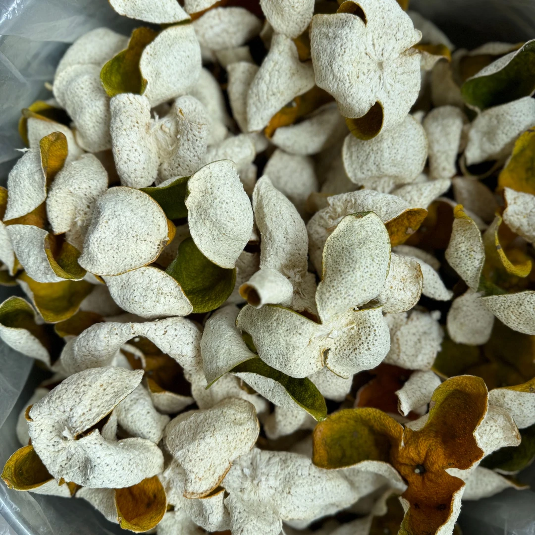 正宗梅江2024年新会柑皮 圈枝冬后 大红皮  花香 果香（实惠品）