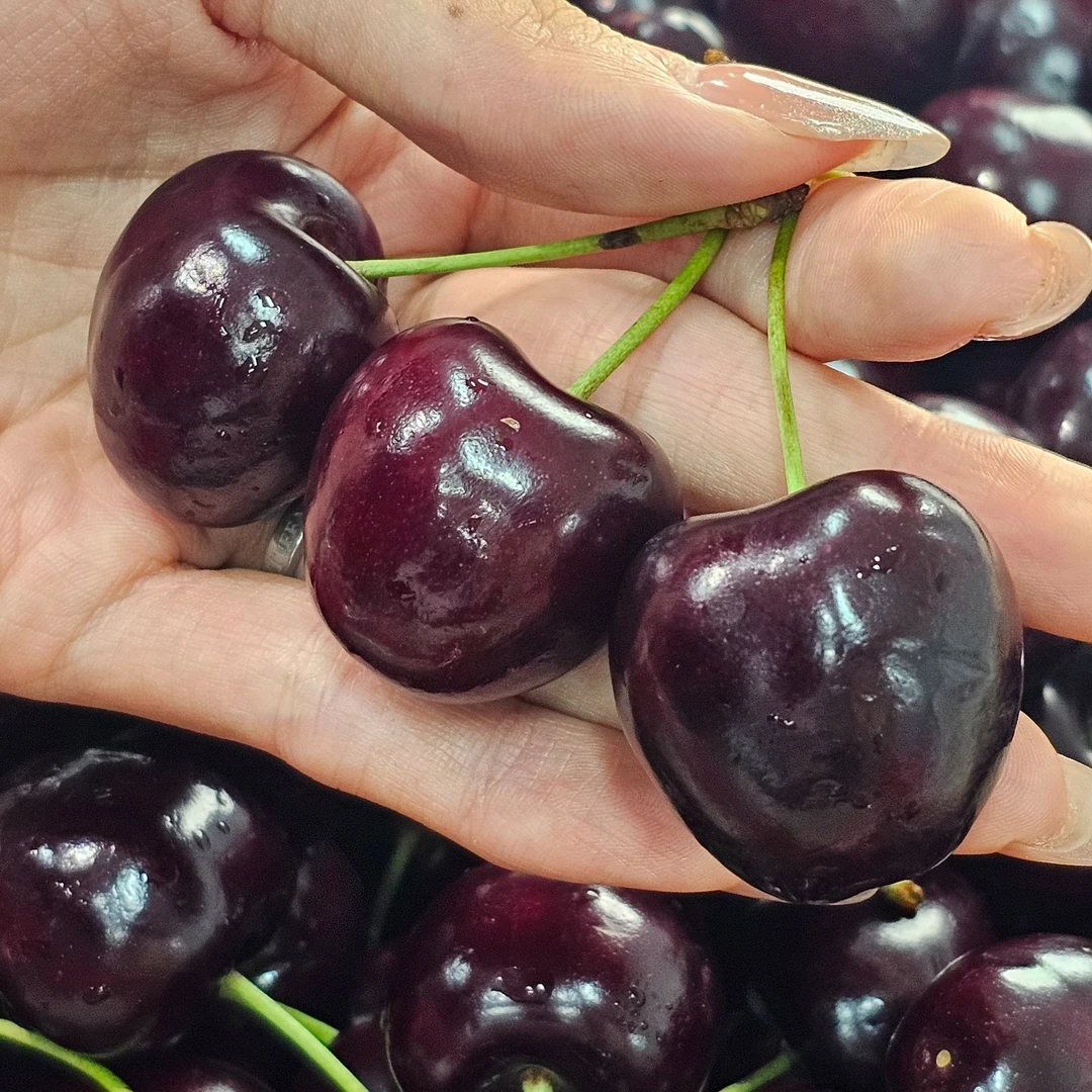 亏本50单【顺丰空运】 智利进口车厘子 2J 新鲜大樱桃孕妇水果5斤