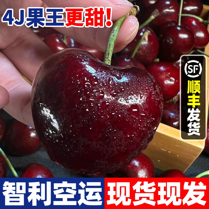【顺丰空运】智利进口ZB车厘子J-4J新鲜孕妇水果大樱桃当季整箱
