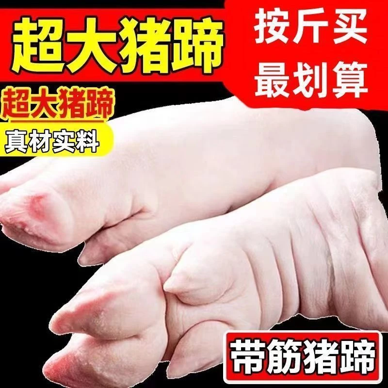 【跑山猪】散养土猪蹄新鲜猪蹄现杀整只正宗带筋猪蹄子前蹄猪脚猪手