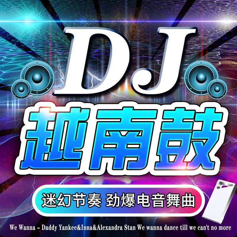 越南鼓DJ车载u盘高音质夜店动感汽车用抖友2024新歌曲网络音乐mp3