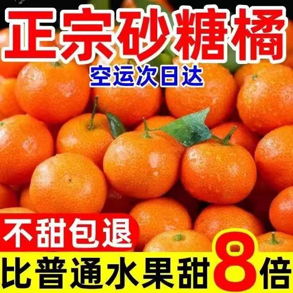 正宗广西沙糖桔无籽整箱水果薄皮特级桔子砂糖橘小橘子新鲜包邮甜