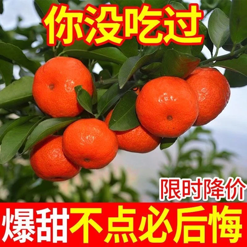 【正宗砂糖橘】广西沙糖桔新鲜孕妇水果皮薄小橘子整箱装批发包邮