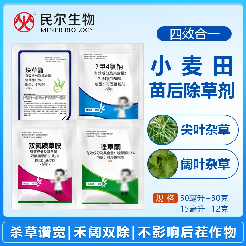 【小麦除草剂】麦田看麦娘猪殃殃尖叶阔草禾本节节麦一年生杂草
