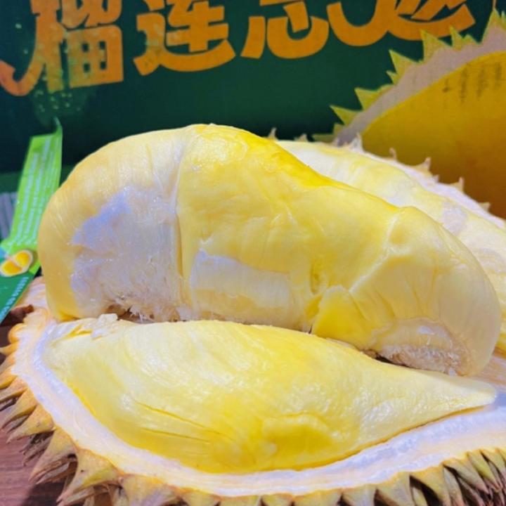 【沈阳】榴莲忘返树熟金枕榴莲10.27