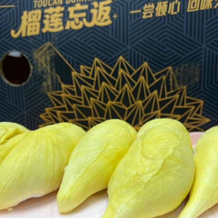 【东北】黑金版流连忘返树熟陆运金枕榴莲10.27