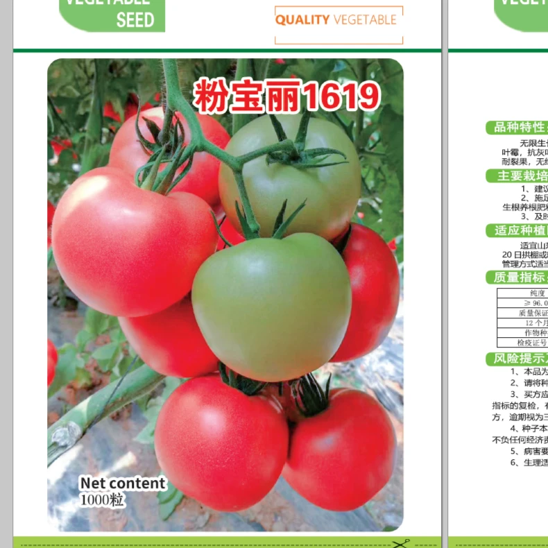 早春秋延霸王品种 粉宝丽1619 大粉番茄种子 大果番茄精品粉果