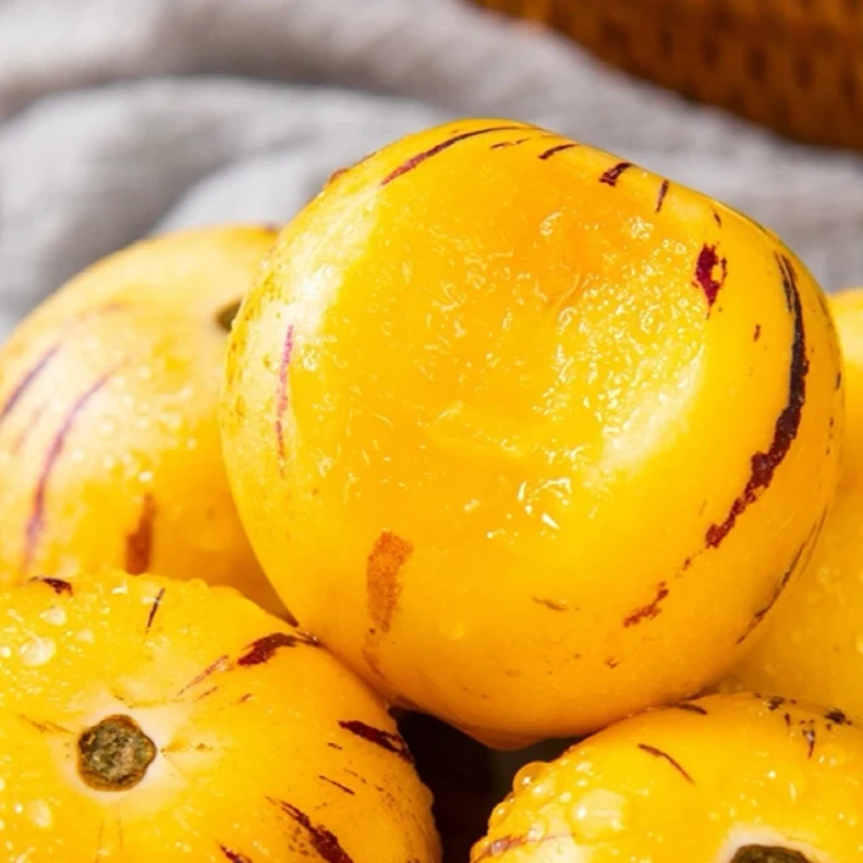 【学而思优品专属】云南树熟人参果黄肉果圆净重4.5斤装