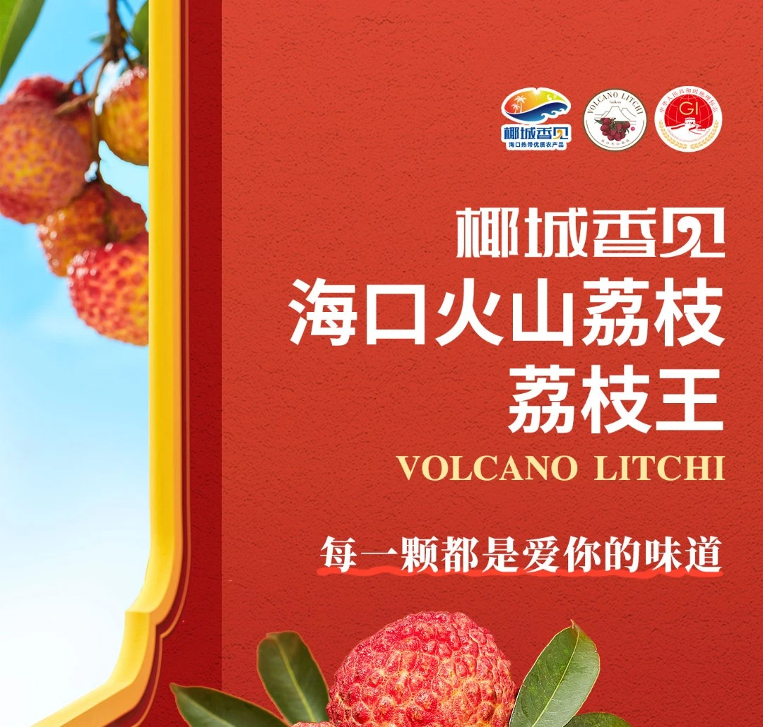 【椰城香见·海口火山荔枝】永兴火山荔枝王3斤超大新鲜整箱空运发