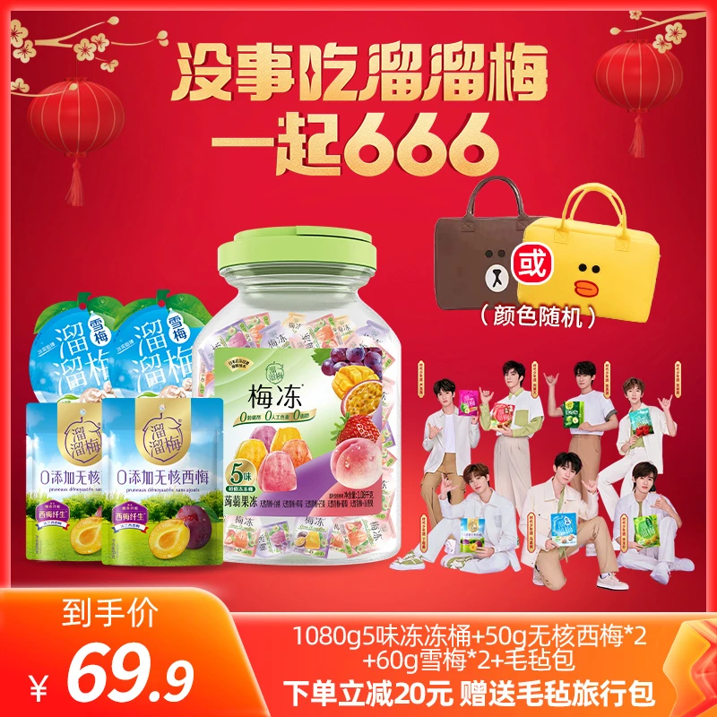 【暖冬美食】梅冻5味冻冻桶礼包送雪梅无核西梅加旅行毛毡包1300g