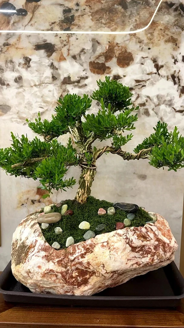 天然石头花盆原生态石艺花盆创意禅意石盆水盆多肉盆灵璧石花盆