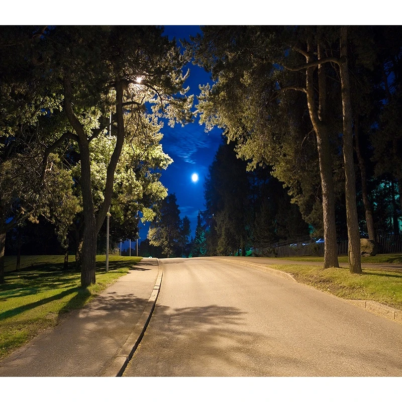 主播直播间室外夜间风景路灯秋天黄叶立体背景布3d快手网红背景墙