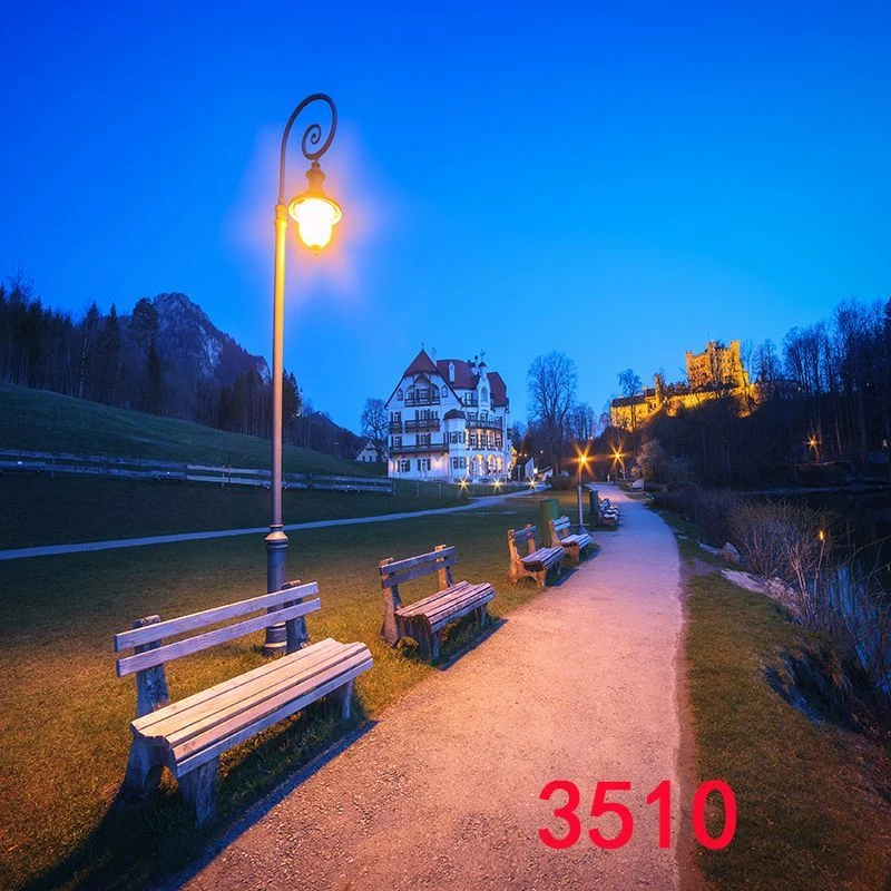 主播直播间室外夜间风景路灯农村小路风景3d立体网红直播背景布