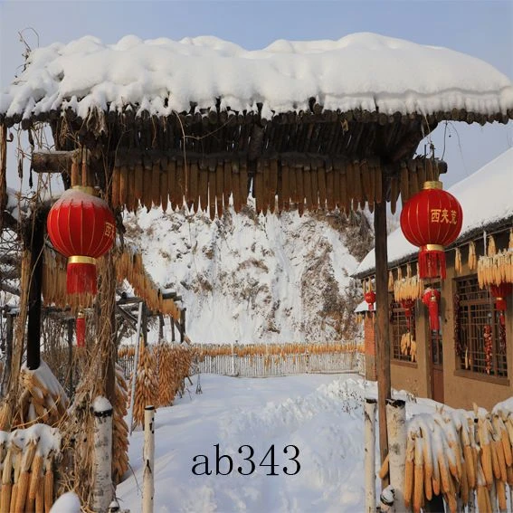 抖音背景布冬季雪景农村雪景农村背景布直播间背景布网红外景风景