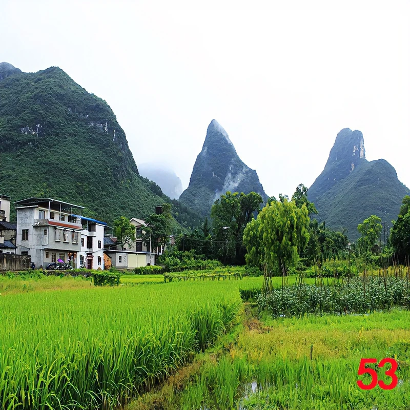新款主播背景布立体主播墙纸布3D山水农村老房子风外景直播背景布