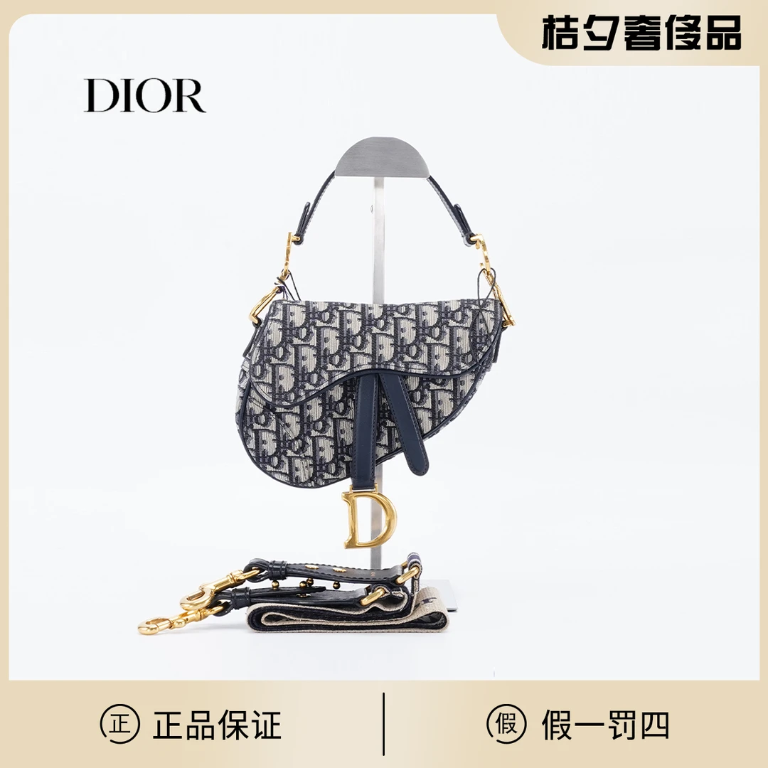 95新 DIOR/迪奥  马鞍包小号/BG22000544