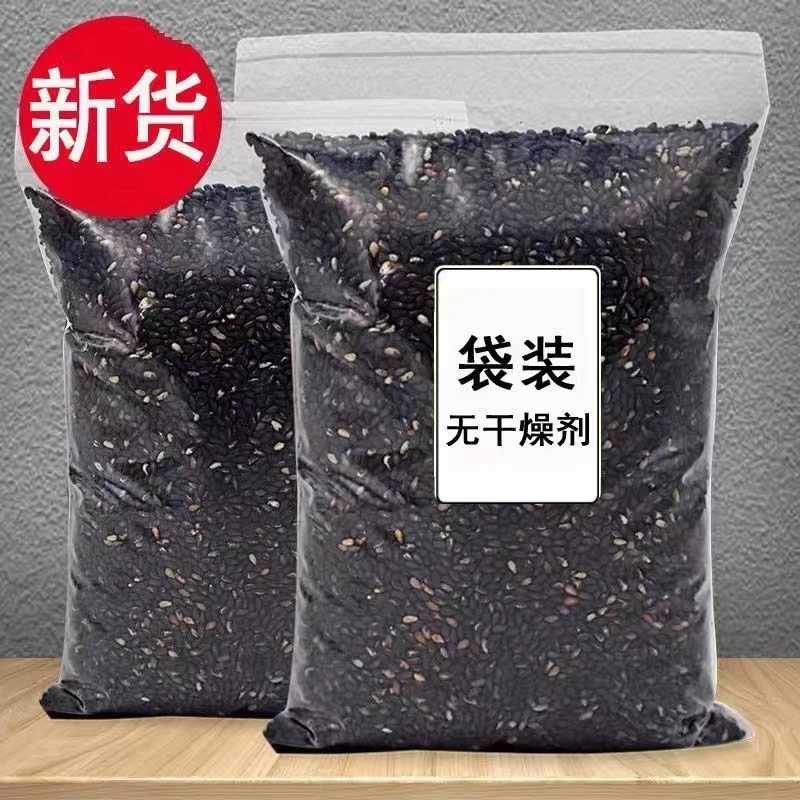 新货黑芝麻生的未炒熟无沙免洗农家袋装颗粒饱满味道香营养即食