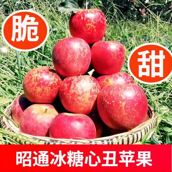 正宗昭通丑苹果现摘现发坏果包赔