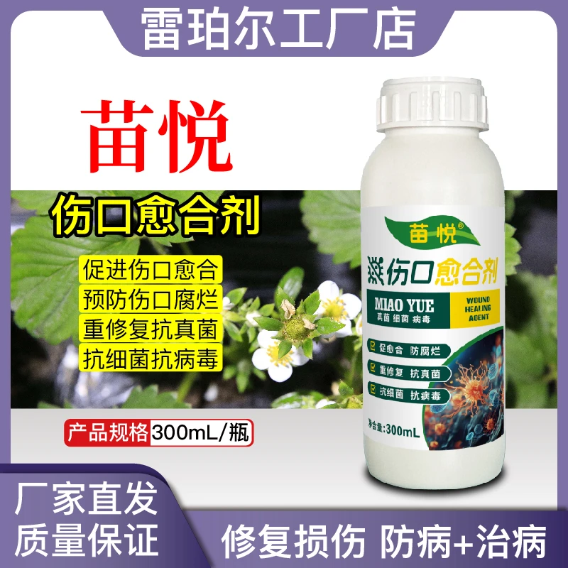苗悦植物伤口愈合剂