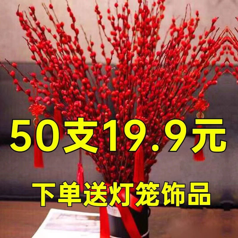 红色招财银柳干花真花鲜枝耐寒年宵花水培花卉室内客厅摆放装饰花