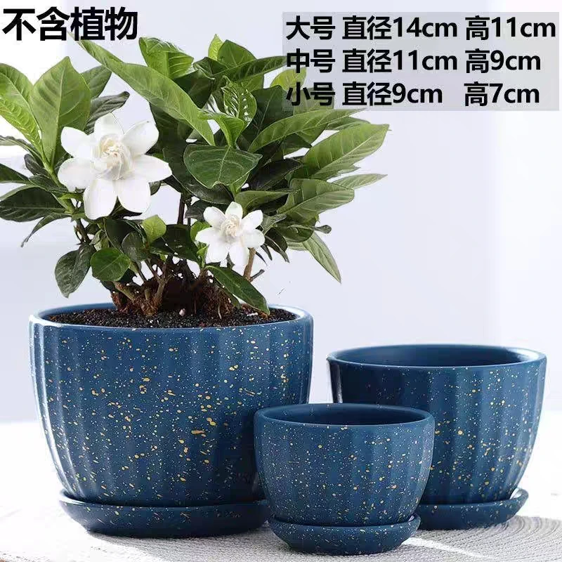 【新店福利】花盆陶瓷透气特价多肉盆特大号简约绿萝家用带托盘捡漏