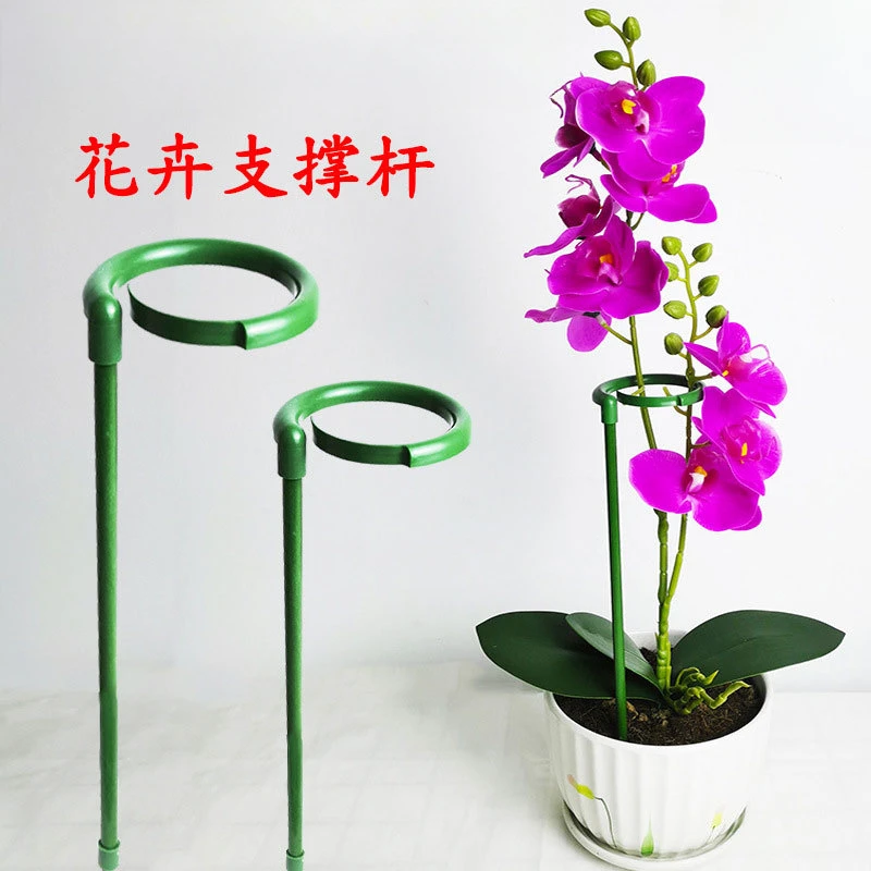 花架子植物园艺固定架室外花卉造型支撑杆蝴蝶兰爬藤防倒伏花支架