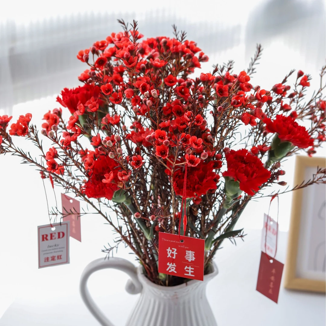 【福利套餐】云南鲜花套餐鲜花养护鲜切花
