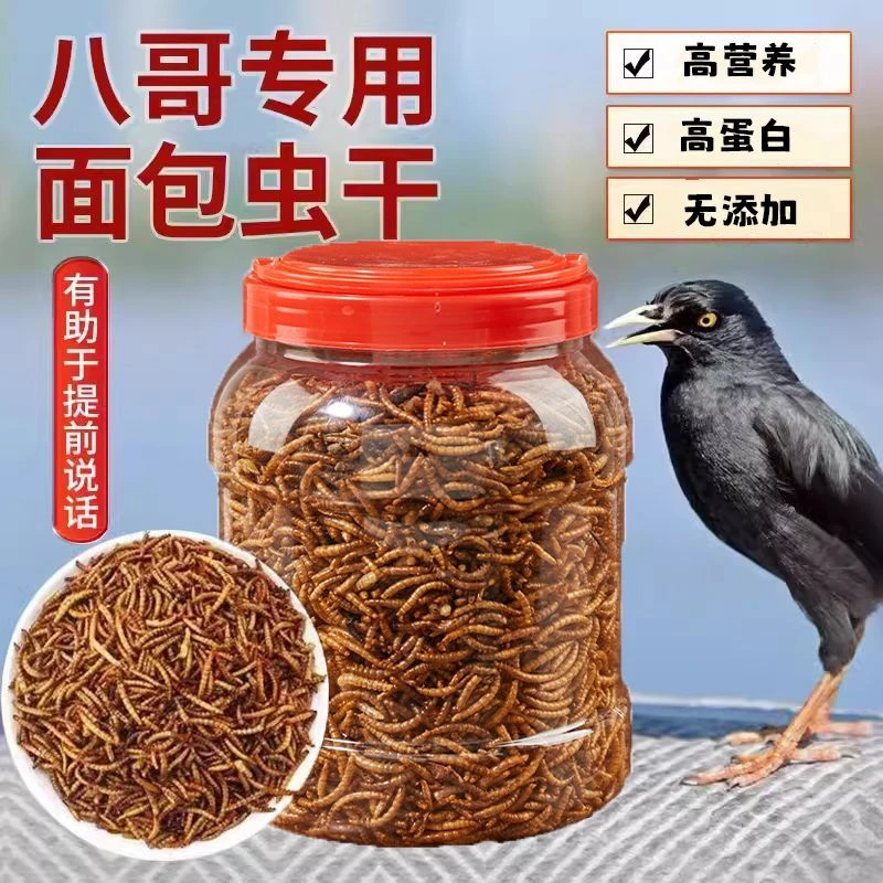 八哥鸟食饲料零食面包虫干优质八哥鹦鹉鸟粮天然通用高蛋白豪华