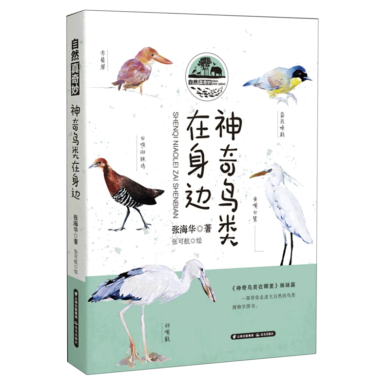 神奇鸟类在身边/自然真奇妙