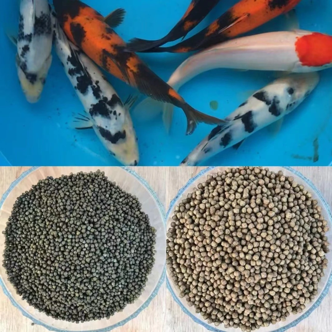 增体观赏鱼料不包邮（一斤）