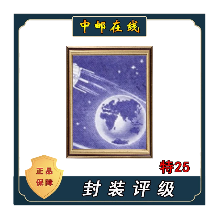 拓普 特25卫星 装饰画