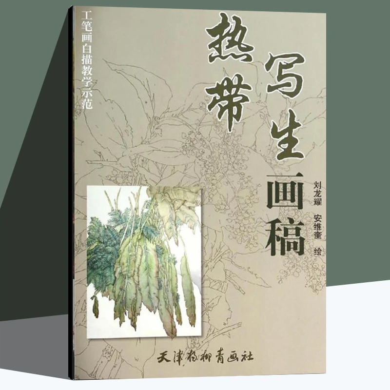 热带写生画稿基础艺术结构观察白描工笔画质感临摹国画书画册本社
