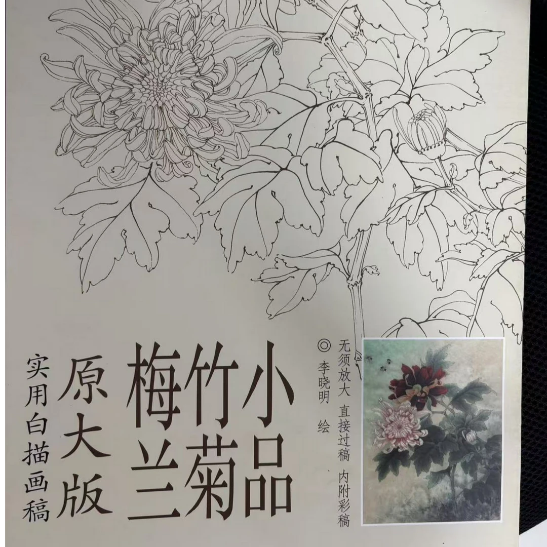 【微瑕介意勿拍】2本 梅兰竹菊小品+梅兰竹菊横幅