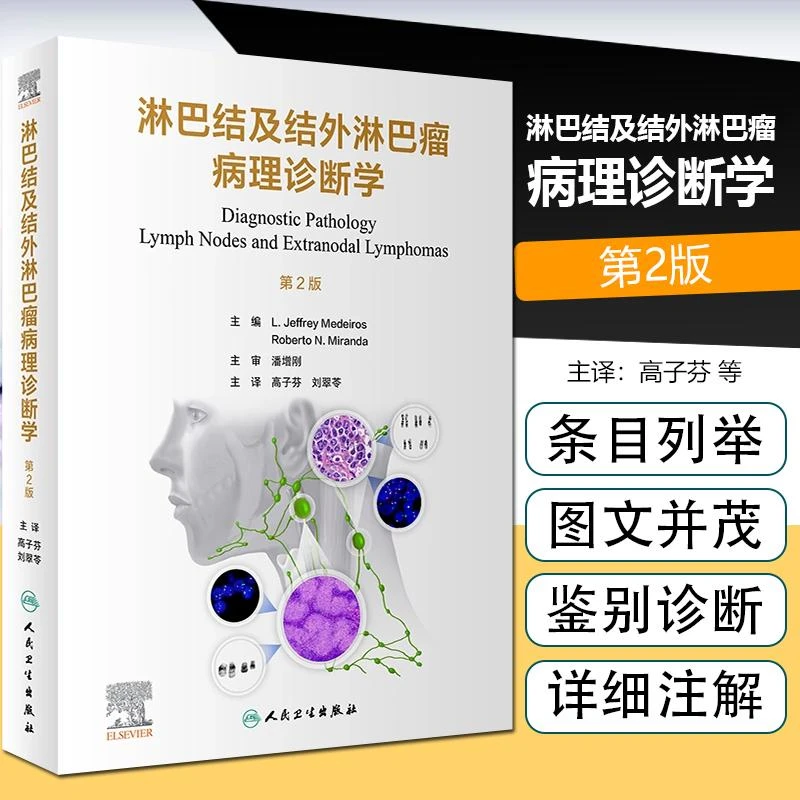 正版 淋巴结及结外淋巴瘤病理诊断学（翻译版）人民卫生出版社978
