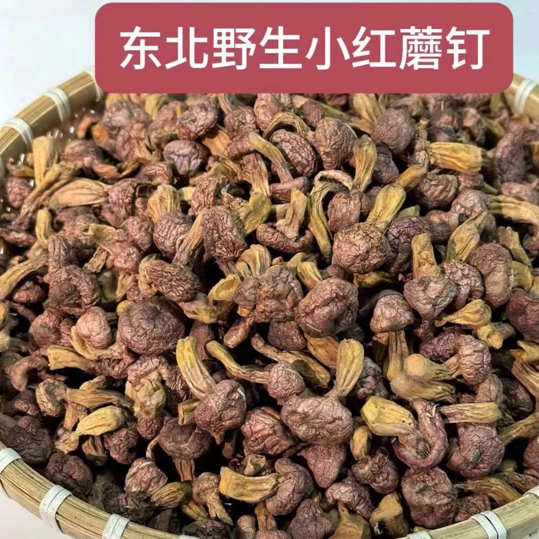 ［东北特产］黑龙江松树林野生小红蘑钉250g也叫肉蘑干货干净无根