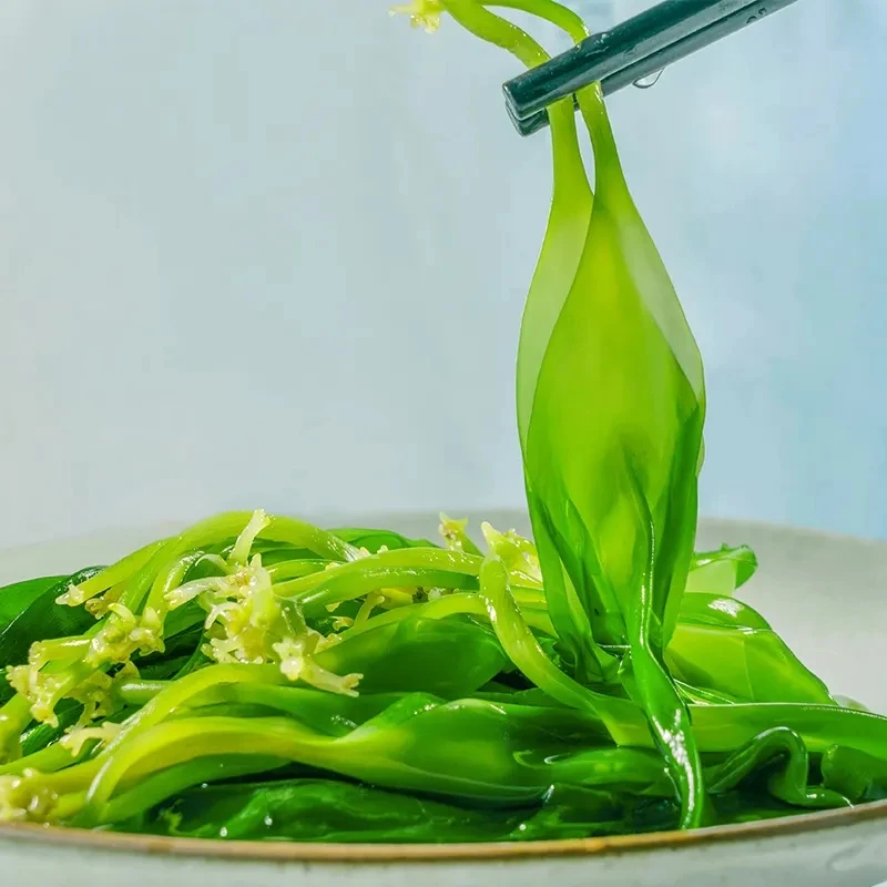 食用海带嫩苗 一份3袋鲜嫩爽滑 10秒烹饪出菜福建农产品工厂直发