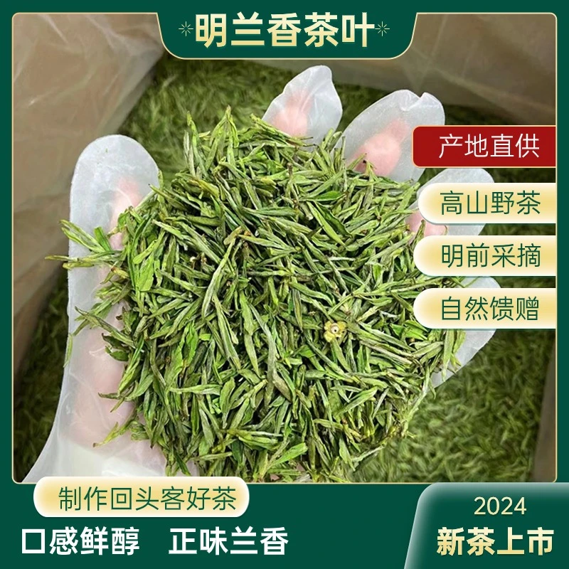 明兰香25年S2福利款高山野茶小兰花绿茶明前回甘好茶