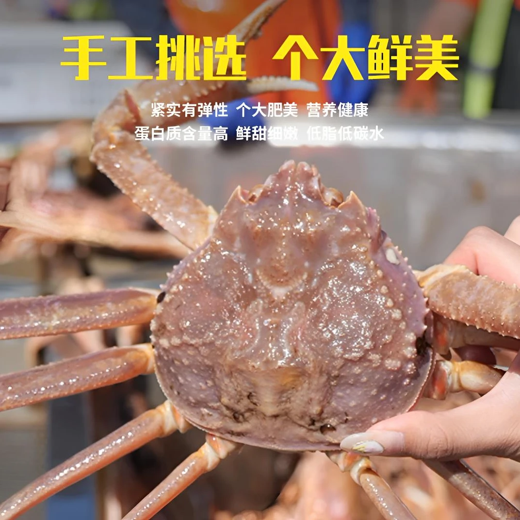 冷冻长脚蟹，蟹板蟹，松叶蟹，雪蟹新鲜肉质鲜甜美味锁鲜到家